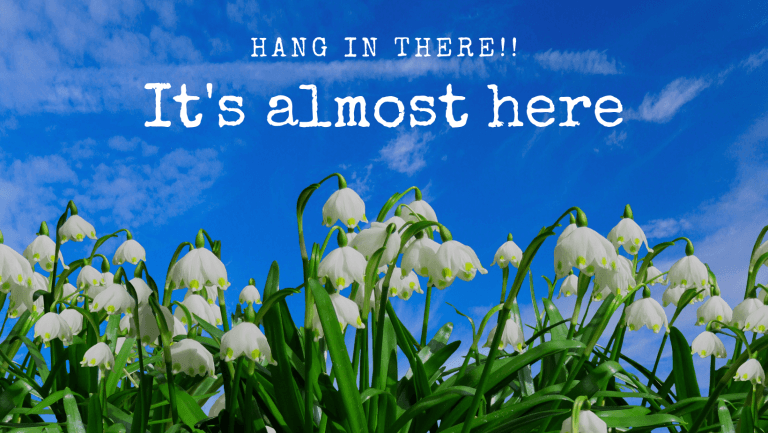 White snowdrops under a blue sky with text: "Hang in there!! It's almost here."