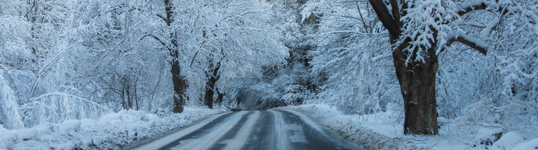 Snow-covered road flanked by trees with heavy snow on branches, creating a wintery tunnel effect.